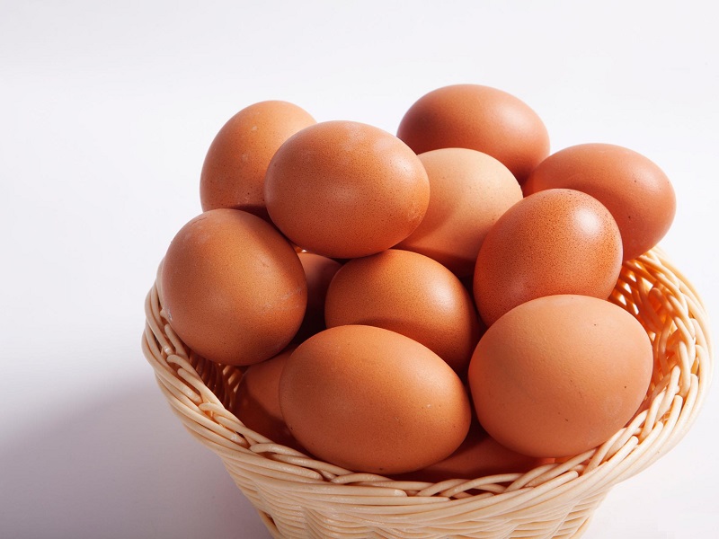 影响蛋鸡产蛋率的营养因素及对策