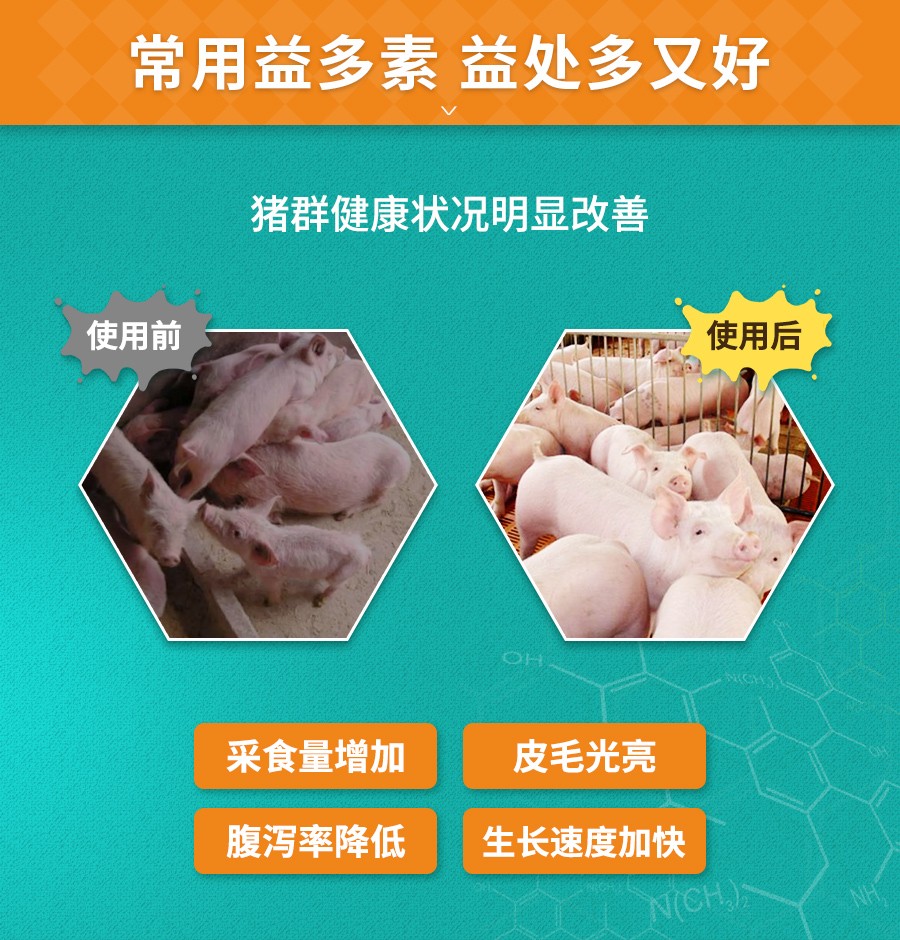 详情_04.jpg