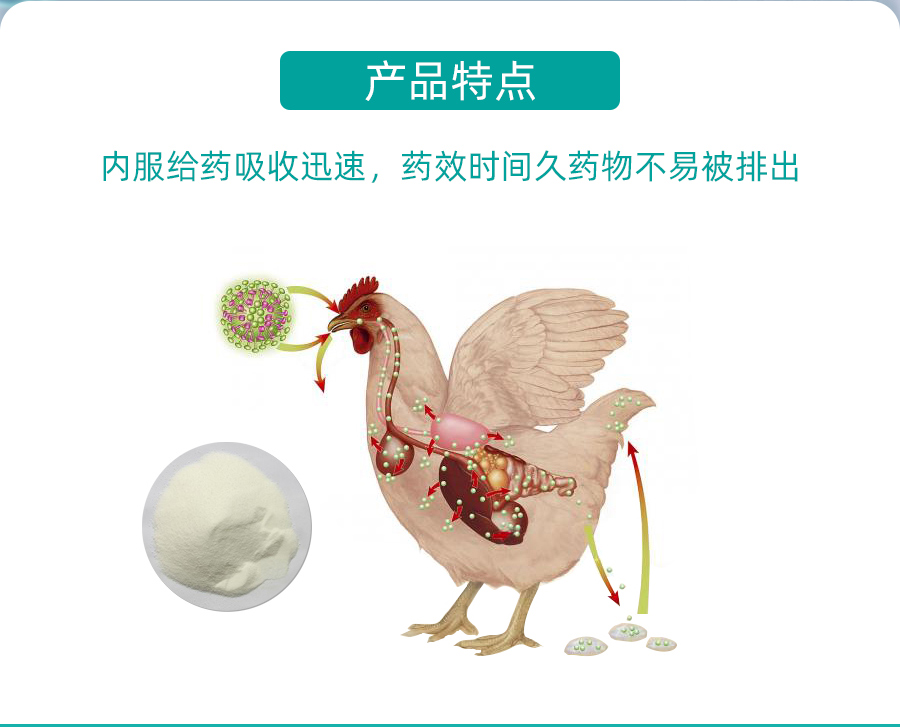 详情_02.jpg